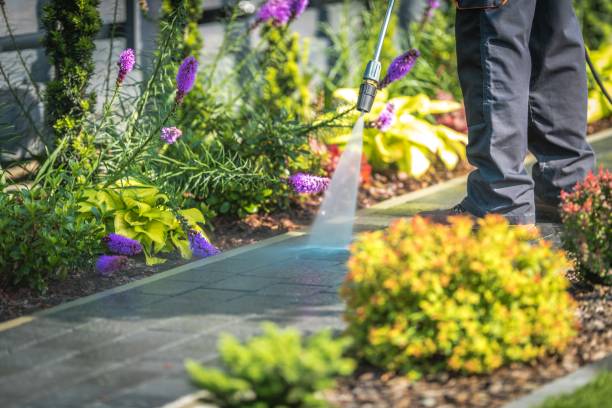 Mount Vernon, VA  Pressure Washing Services Company