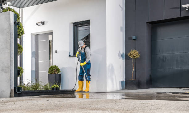 Best Dumpster Area Cleaning  in Mount Vernon, VA